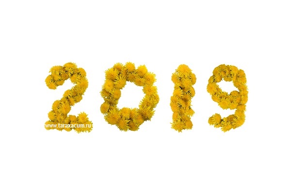 Поздравление с Новым 2019 годом